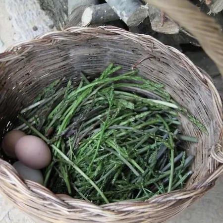Lejlighed Landgut Mit Blick Auf Wasser By Interhome *