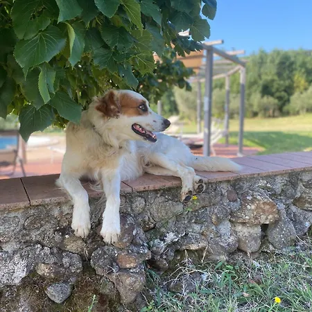 Landgut Mit Blick Auf Wasser By Interhome 公寓