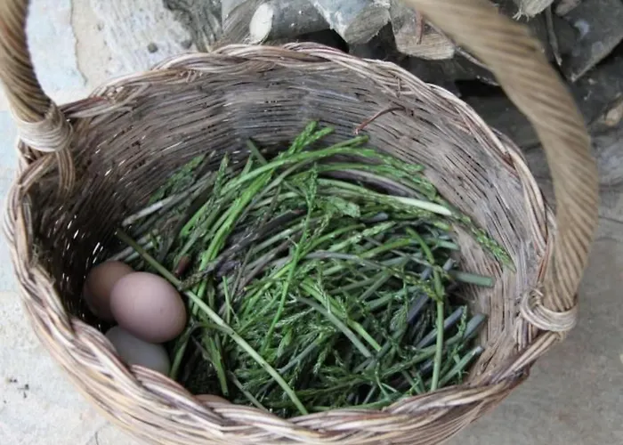 Lejlighed Landgut Mit Blick Auf Wasser By Interhome *