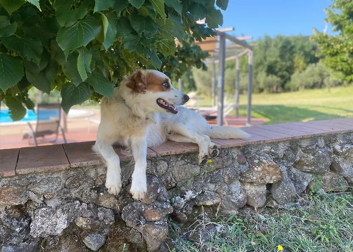 Landgut Mit Blick Auf Wasser By Interhome 公寓